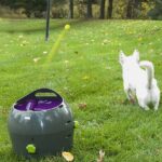 automatic-ball-launcher-for-large-dogs