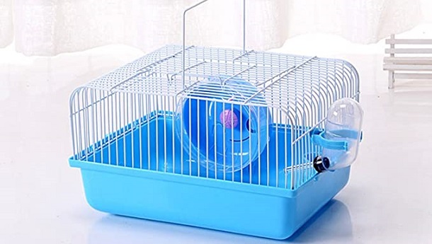 cute cage