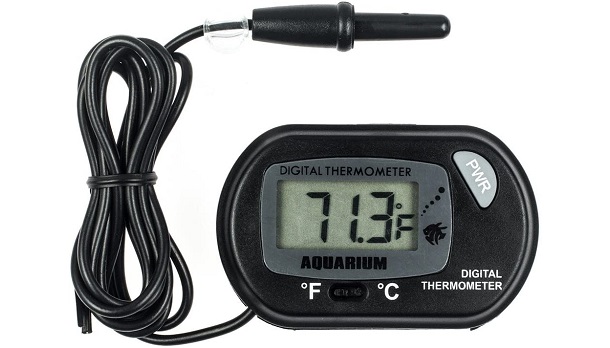 digital thermometer