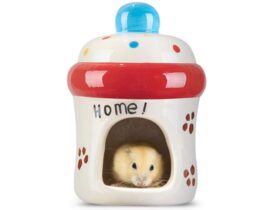 dwarf hamsters house