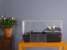 escape-proof hamster cage