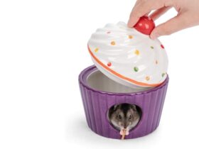 hamster igloo