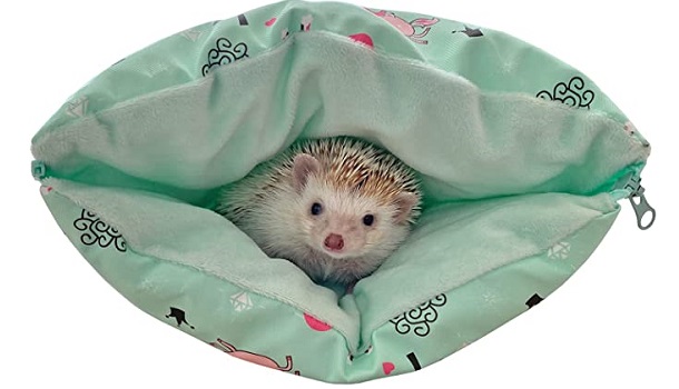 hedgehog in fleece blanket