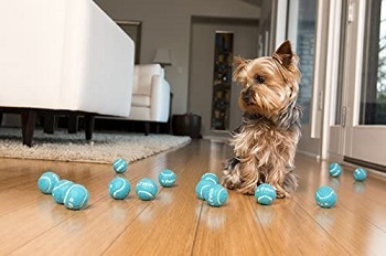 iFetch Interactive Ball Launcher