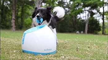 iFetch Interactive Ball Launcher