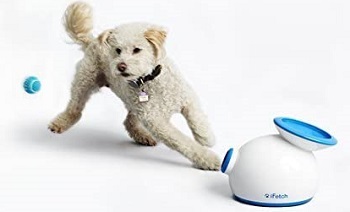 iFetch Interactive Ball Launcher