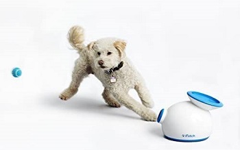 iFetch Interactive Ball Launcher