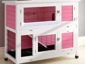 pink guinea pig cage