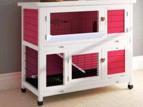 red guinea pig cage