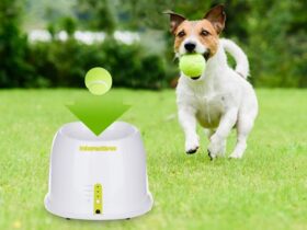 small-dog-ball-launcher