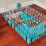 wire guinea pig cage