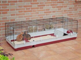2 level guinea pig cage