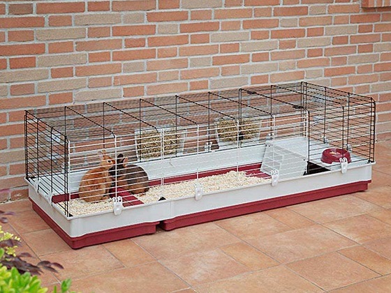 2 level guinea pig cage