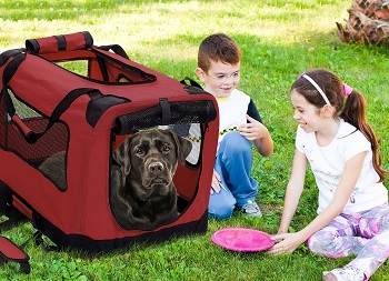 2PET Foldable Dog Crate