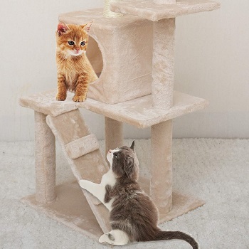 67i Kitten And Small Cats Tree Review