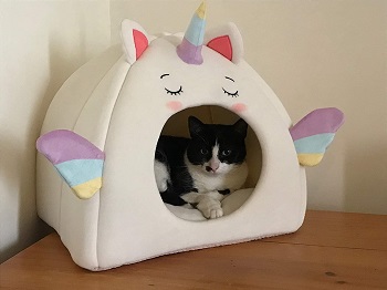 All Fur You Unicorn Cat Cave