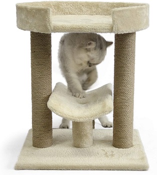 AmazonBasics Platform Cat Tree Review