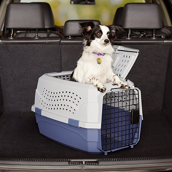 AmazonBasics Two-Door Pet Travel Carrier