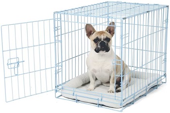 Carlson Blue Metal Dog Crate