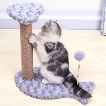 Cat Scratching Post Purple Small Review