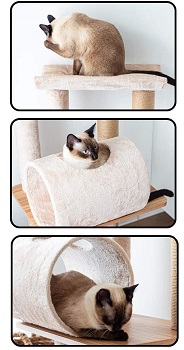 Catry Cat Tree Real Wood Review