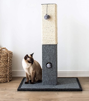 Catry Cat Tree Review