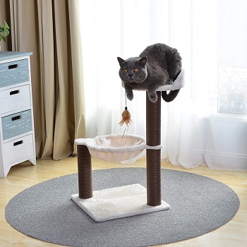 Catry Tree For Cats Review