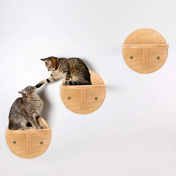 Cjupzi Wall Mounted Cat Tree Playground Review