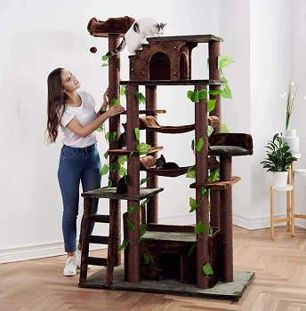 Cozy Cats Furniture Tower Review