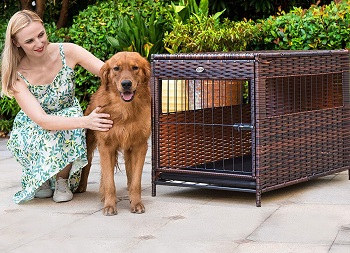 DEStar Heavy Duty Dog Crate