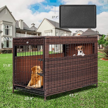 DEStar PE Rattan Wicker Pet Dog Cage Crate Review