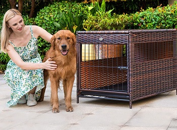 DEStar PE Rattan Wicker Pet Dog Cage Crate