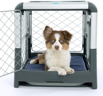 Diggs Revol Dog Crate