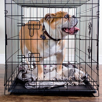 Dog Crate 36 Pet Cage