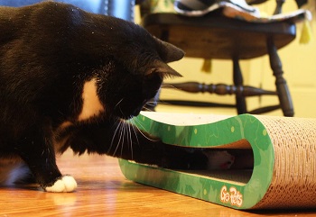 Gopets Store Scratcher review