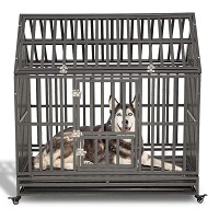 LUCKUP Heavy Duty Dog Crate Summary