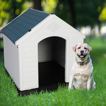 LUCKYERMORE Dog House