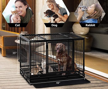 Large Dogs Heavy Duty Crate Review