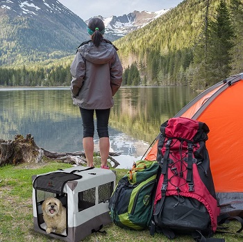 MidWest Portable Tent Crate