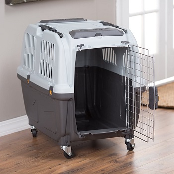 BEST MEDIUM DOG CAGE FOR FLYING