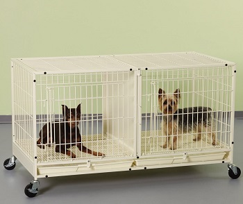 Modular Dog Cage Review