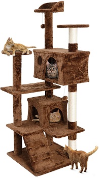 Nova Microdermabrasion Cat Tree Brown