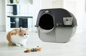 Best 5 Automatic Litter Boxes For Multiple Cats Reviews 2022