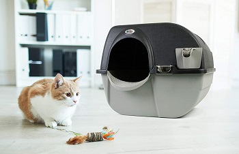 Omega Paw EL-RA20-1 Cleaning Litter Box Review