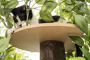 On2Pets Climbing Cat Tree Furniture