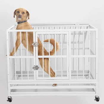 PUPZO Heavy Duty Dog Cage Review