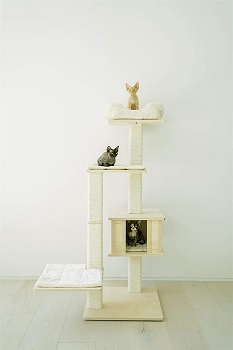 Pawmona Multi-Level Cat Tree Review