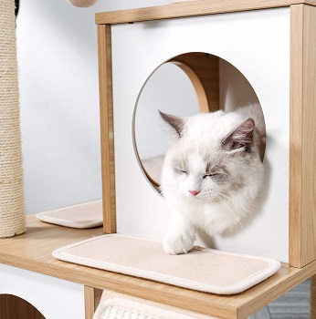 Pawz Cat Tree  Review