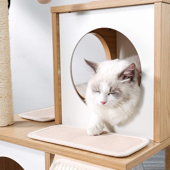 Pawz Pretty Cat Furniture