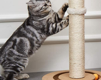 Peekab Scratching Post review